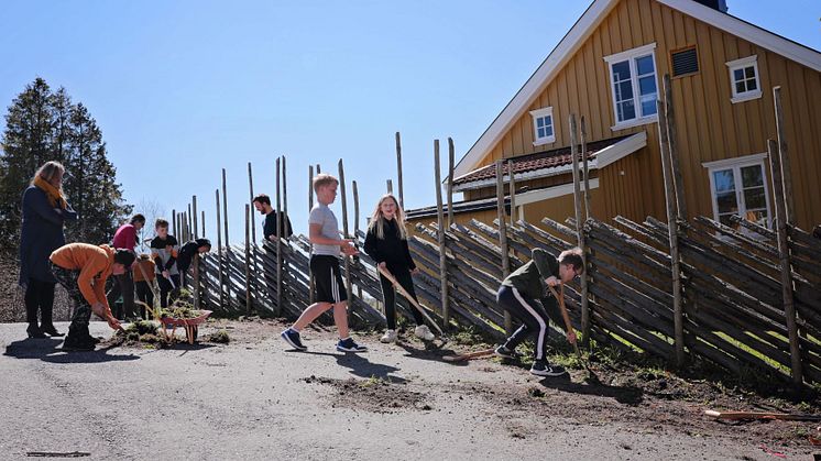 Økologisk Norge får støtte til å etablere flere skolehager på Østlandet. Bildet er fra etableringen av skolehagen på Nordby skole i Ås. (Foto: Eva Birgitta Hollander/Heia Folk).