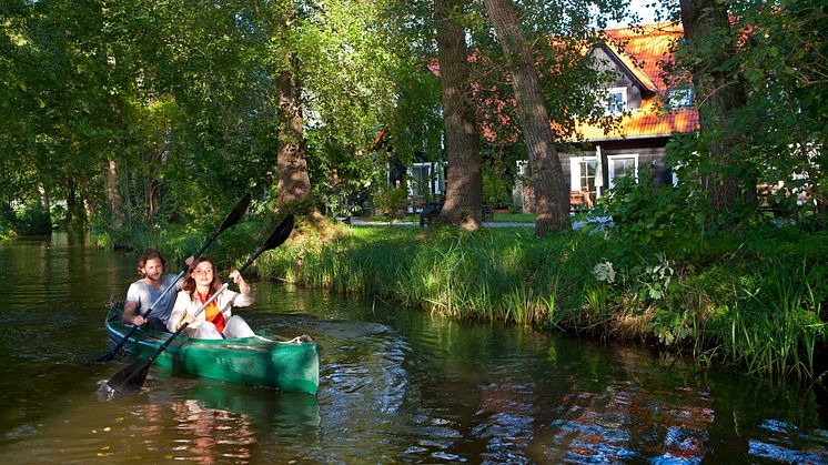 Der Spreewald ist ein ideales Paddelrevier