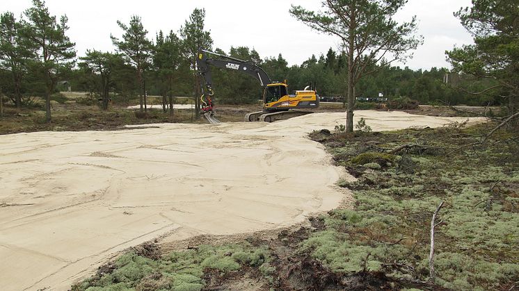 Vattenrikets artrika sandmarker öppnas upp 