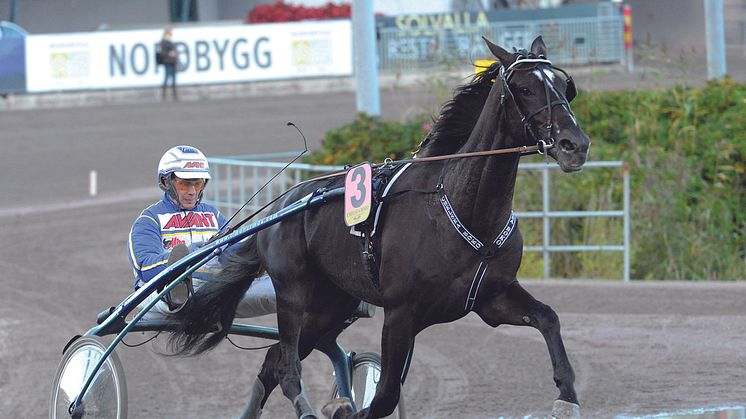 På onsdag startar röstningen till Årets Häst 2012