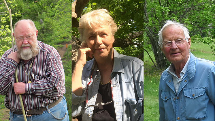 Anders Bertilsson, Berit Berglund, Ebbe Zachrisson, Hedersmedlemmar i Svenska Botaniska Föreningen. Foto: Hans Gardfjell, Joakim Lindwall, Jan Y Andersson