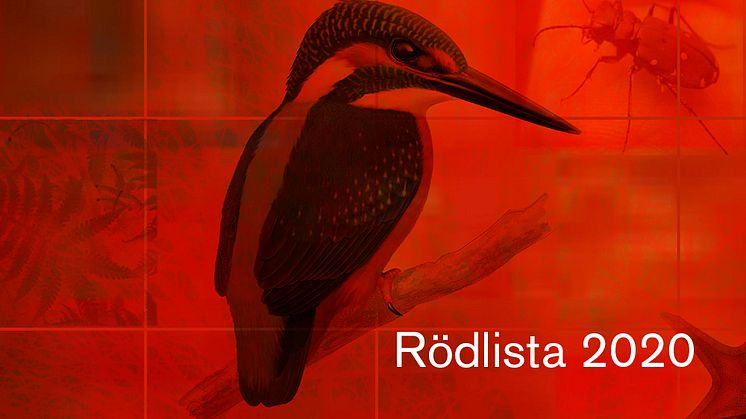 En ny rödlista är publicerad.