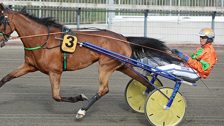 Billie de Montfort får den sista rosa biljetter till Elitloppet 2020. Foto: TR Bild