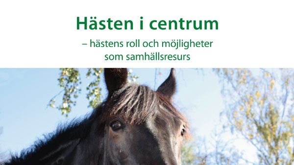 Hästen i centrum – ny skrift från KSLA