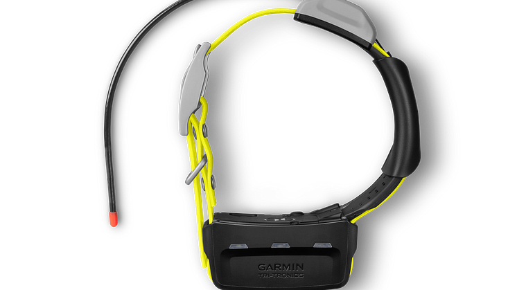 Garmin K5 Hundehalsband