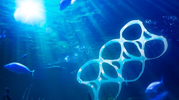 10 millioner tons plastik ender hvert år i verdenshavene, og hvis vi ikke stopper udviklingen, vil der i 2050 være mere plastik end fisk i verdenshavene. Ny udstilling på Den Blå Planets sætter fokus på problemet.
