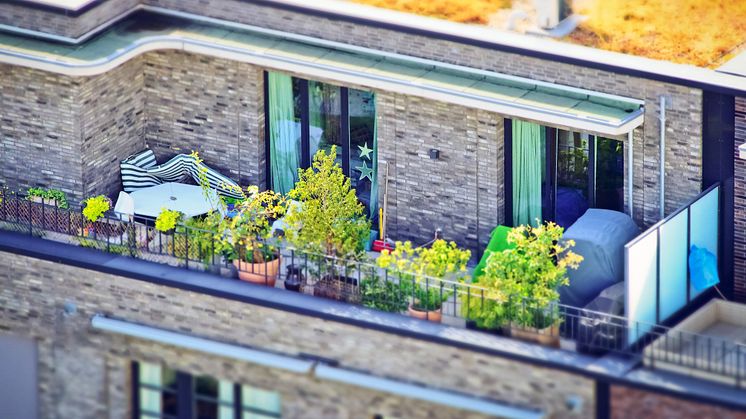 Trendthema „City Gardening" – StadtgärtnerInnen im Fokus. Foto: Pixabay