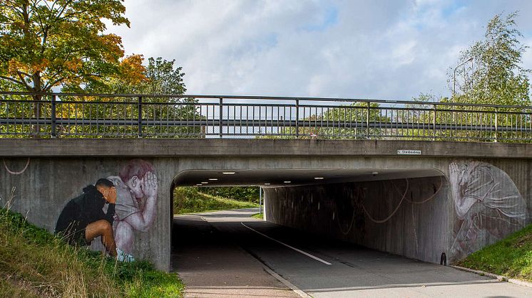 Den 4-6 oktober erbjuder staden en serie föreläsningar och samtal på ämnet psykisk ohälsa. Föreläsningarna är gratis och vänder sig till stadens alla invånare.