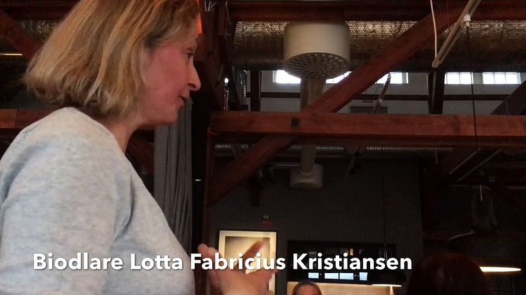 Lotta Fabricius Kristiansen berättar om svensk sorthonung