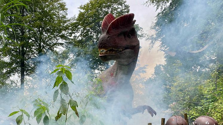Två gigantiska dinosaurier har bosatt sig Skånes Djurpark när parken nu äntligen öppnar för Halloween och en sprakande höstfest.