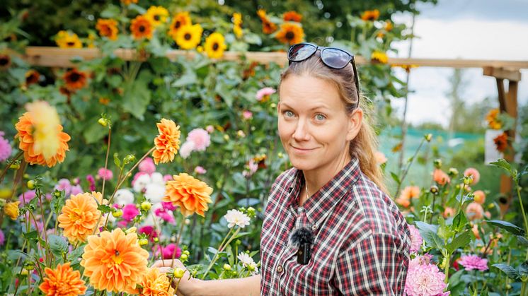 MaryAnn Fargo vill uppmuntra till mer experimenterande i trädgårdslandet.