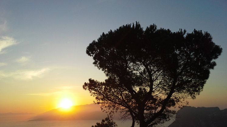 Solnedgång på Capri Scandorama