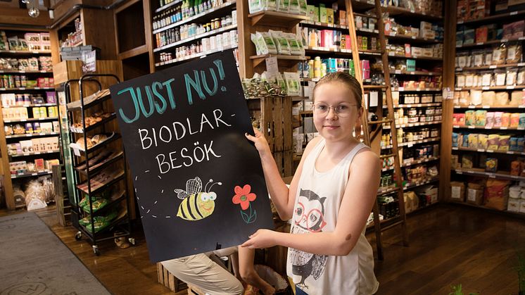 Butiken Cajsa Warg på Södermalm i Stockholm hyllar bina under Pollineringsveckan. Foto: Sofia Runarsdotter.