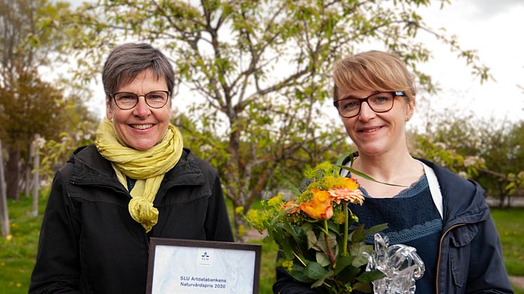 SLU Artdatabankens naturvårdspris 2020 tilldelas Helena Allard för hennes arbete att öka den biologiska mångfalden genom Svenskt Sigill.