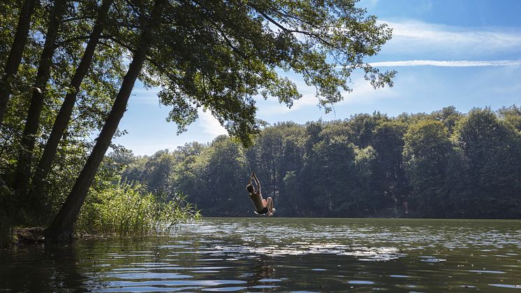 Ab in´s kühle Nass am Huwenowsee im Ruppiner Seenland. Foto: TMB-Fotoarchiv/Steffen Lehmann.