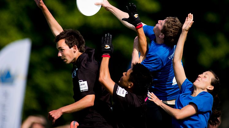 Ultimate frisbee under dag sju av SM-veckan den 7 juli 2013 i Halmstad. Fotograf: Petter Arvidsson, Bildbyrån