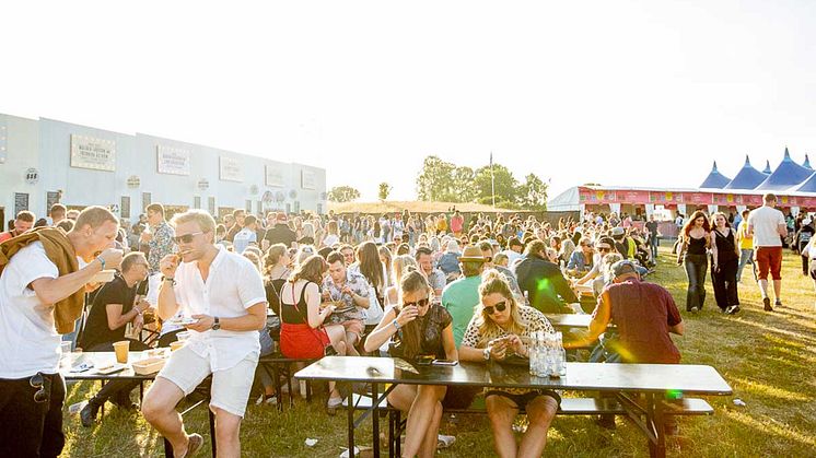 Svenskt kött på festivalen Lollapalooza 