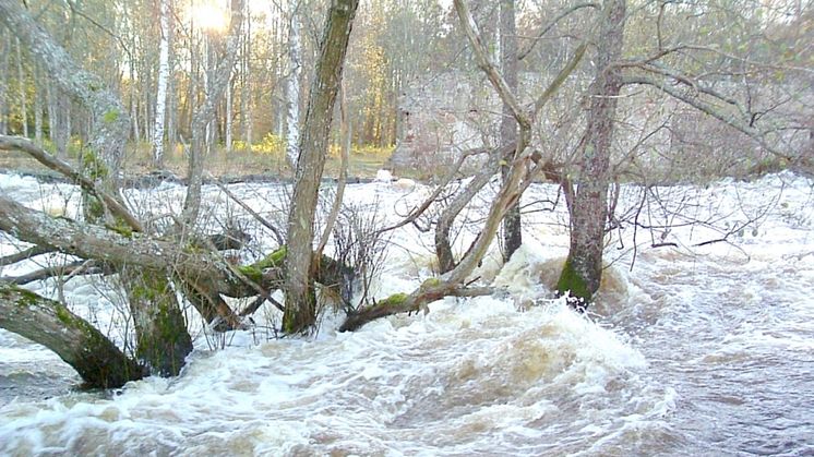 Höstfloden har fyllt på vattenmagasinen rekordsnabbt