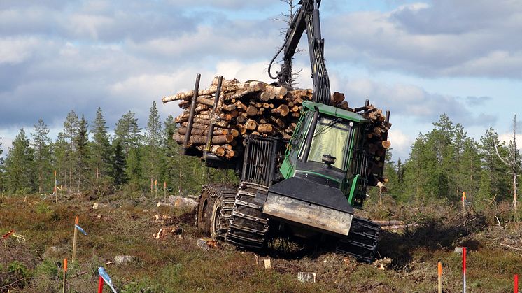 Körning på en av försöksytorna i Rotflakamyran år 2012 med en fullastad skotare som väger 35 ton. Foto: Linnea Hansson