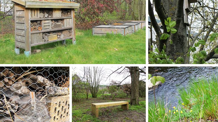 En hållbar utemiljö med plats för insekter