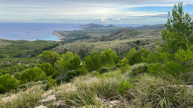 TUI Forest Mallorca_landscape3