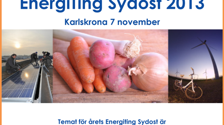 Program för EnergiTing Sydost 2013