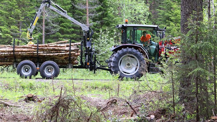 Erfolgreiche Präsentation von Trejon Multiforest auf der Elmia