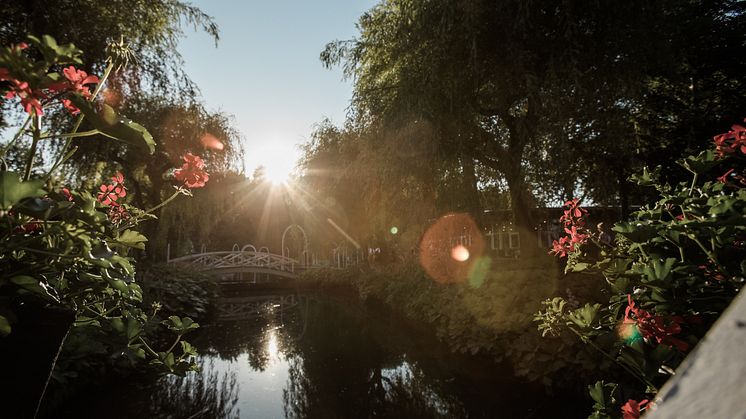 Tivoli Friheden åbner Danmarks største Blomsterfestival