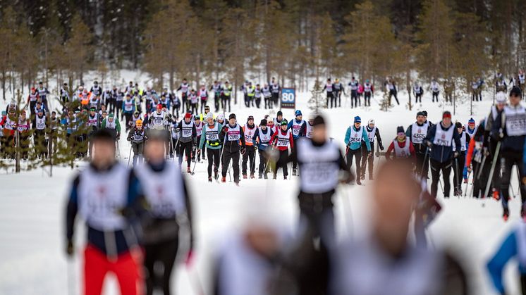 Vasaloppsveckan är igång och tusentals människor ger sig ut på en fysisk och mental utmaning. Foto: Vasaloppet