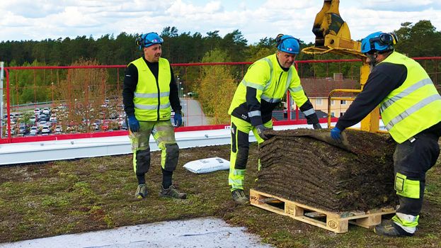 Montage av sedumtak på psykiatrihuset i Kalmar