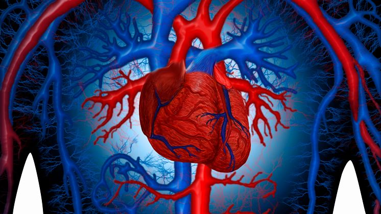 Enhanced_cardiovascular_system