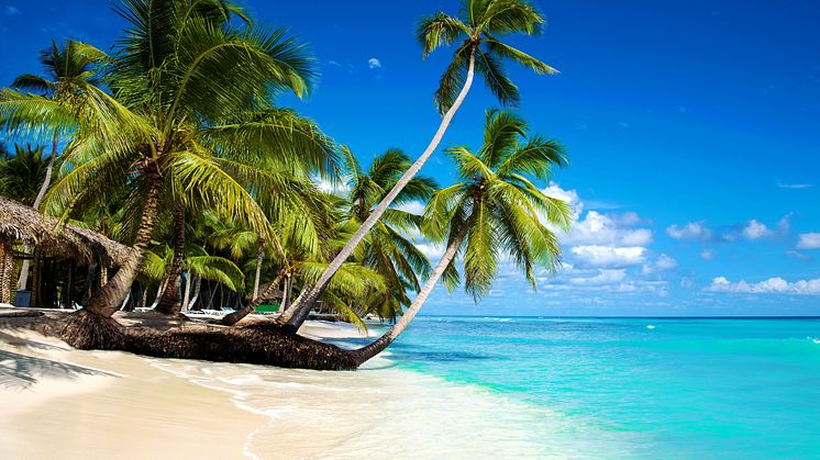Die Dominikanische Republik gehört bei alltours mit zu den beliebtesten Winterreisezielen in der Karibik.
