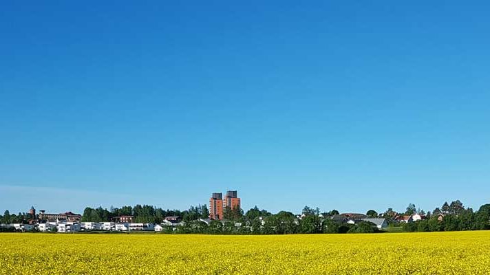 Lokala åtgärder för att underlätta för företagarna i vår kommun