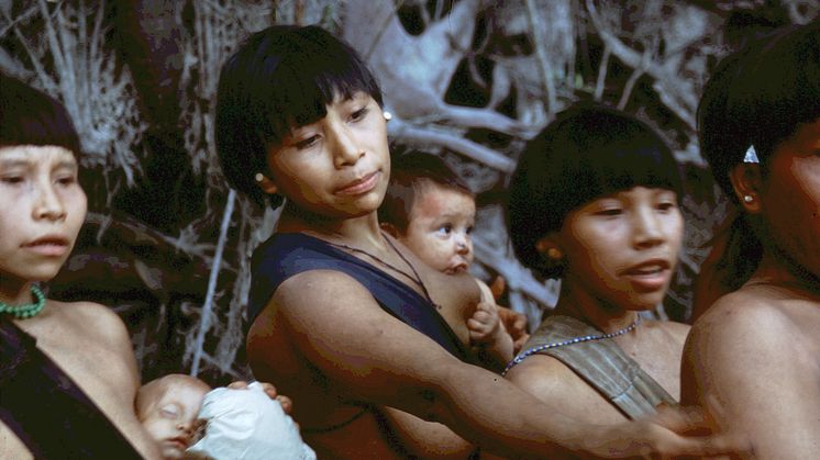 Yanomami folket trues på deres eksistens af jagten på guld i skoven. Foto: Claus Kjærby.