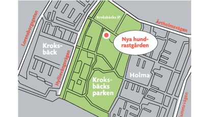 Här kan hunden springa hinderbana