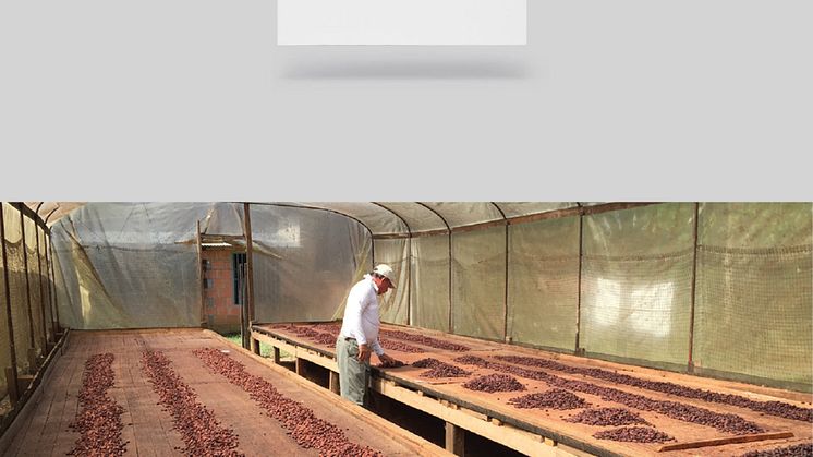 Ny Nano Lotchoklad med utvald kakao från Gonzalo Ordoñez