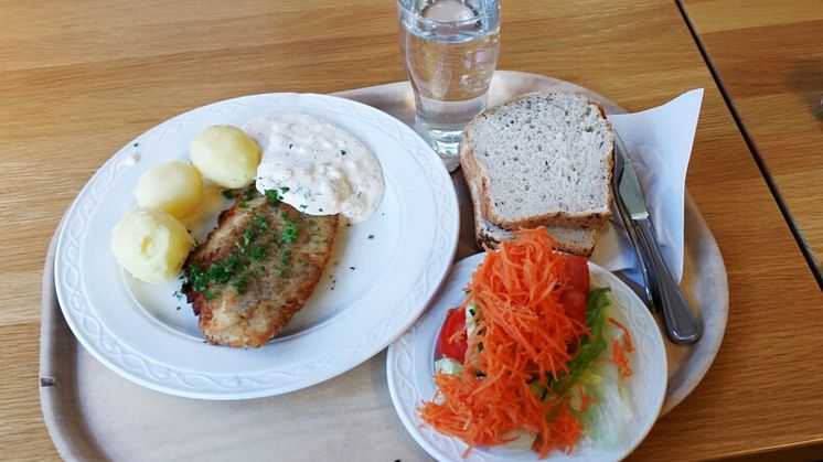 Dåliga förutsättningar för skollunchen