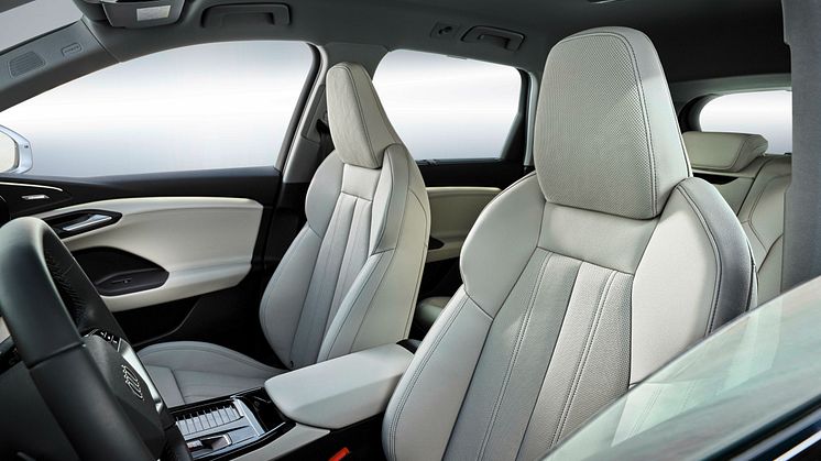 Audi Q6 e-tron (interiør i læder og ambratræ)