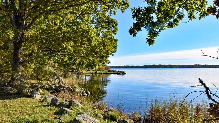 Skärva naturreservat lockar många att vandra och cykla.