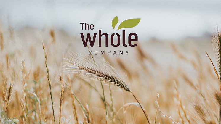 The-Whole-Company