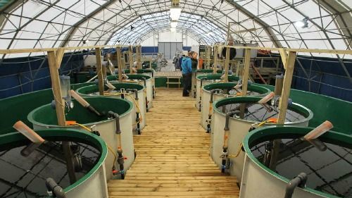 Akvaplan-niva AS har solgt Senja Akvakultursenter AS til Lerøy Aurora AS