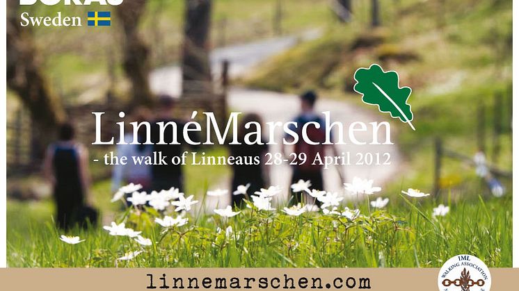 Linnémarschen är nu officiell medlem i IML Walking Association