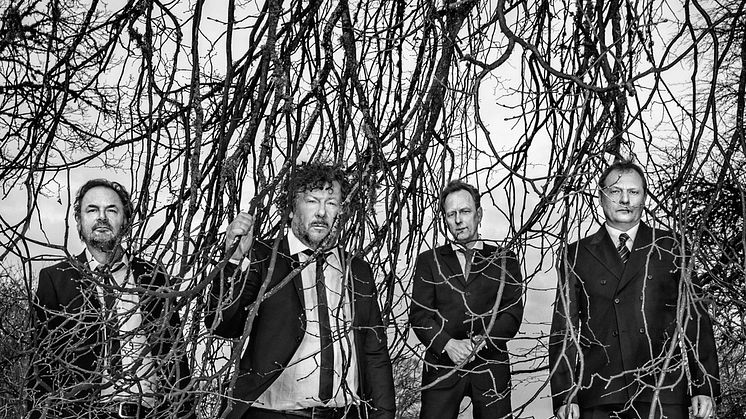 Weeping Willows på turné sommaren 2021