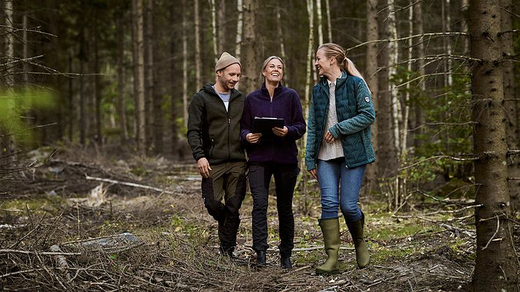 Skogsbarometern 2023: Historisk hög lönsamhet trots osäker omvärld