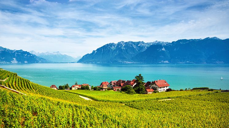 Genfersee mit den Weinterrassen von Lavaux. © antares71