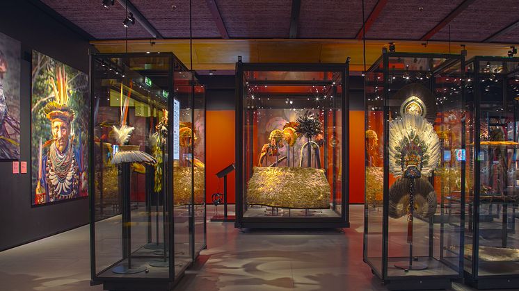 Sista chansen att se utställningen Feathers på Etnografiska museet