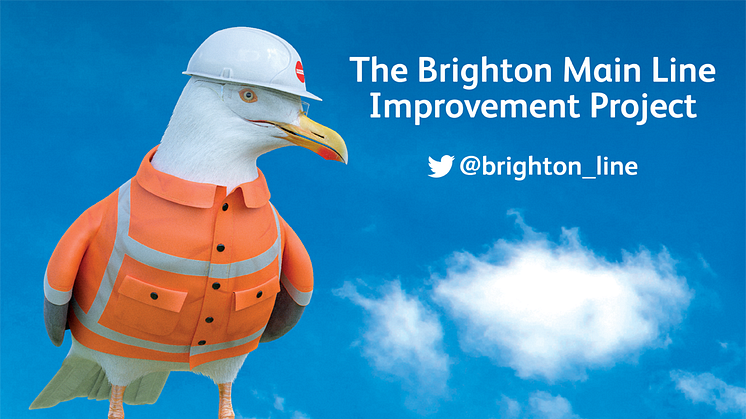 Hard hat seagull Brighton Main Line Improvement Project