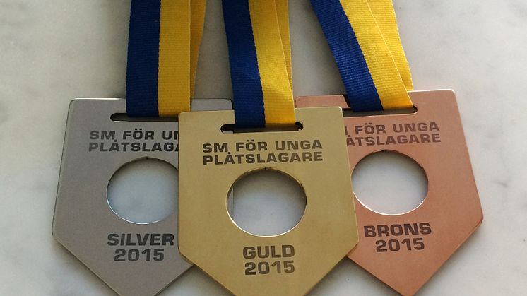 SM för unga plåtslagare, medaljer 2015