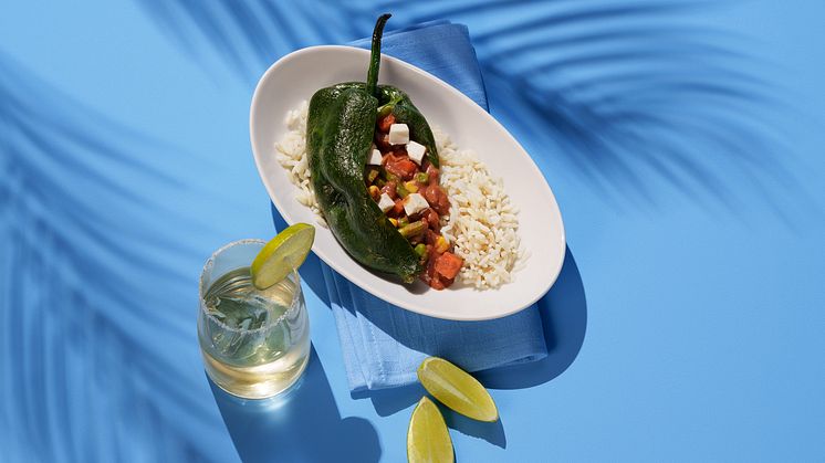 Discover Airlines_Poblano Chili