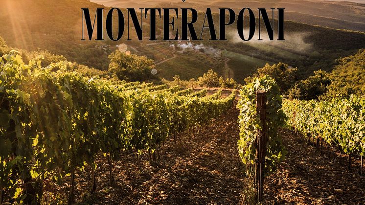 Utsikt från en av Monteraponi högst belägna vingårdar